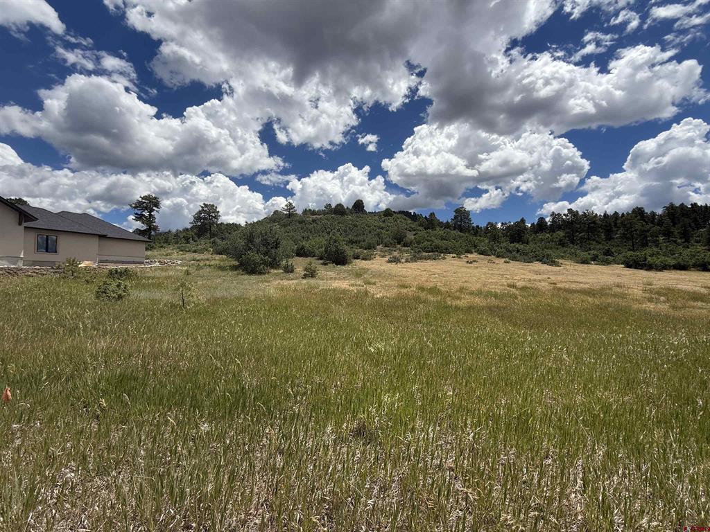 213 Dylan Drive Pagosa Springs CO 81147