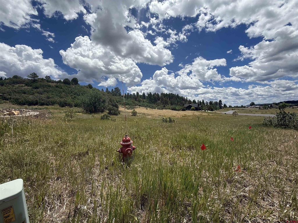 213 Dylan Drive Pagosa Springs CO 81147