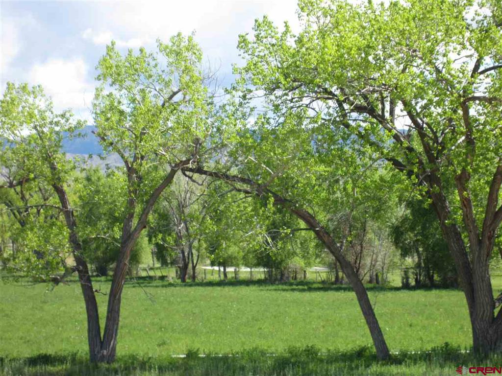 16666 6725 Montrose CO 81401