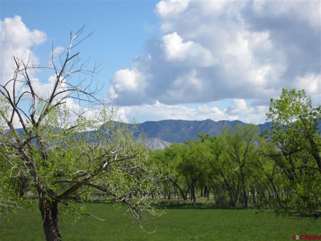 16666 6725 Montrose CO 81401