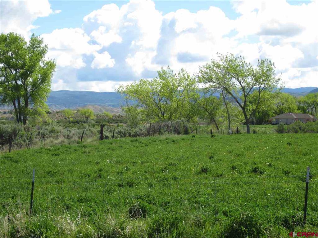 16666 6725 Montrose CO 81401