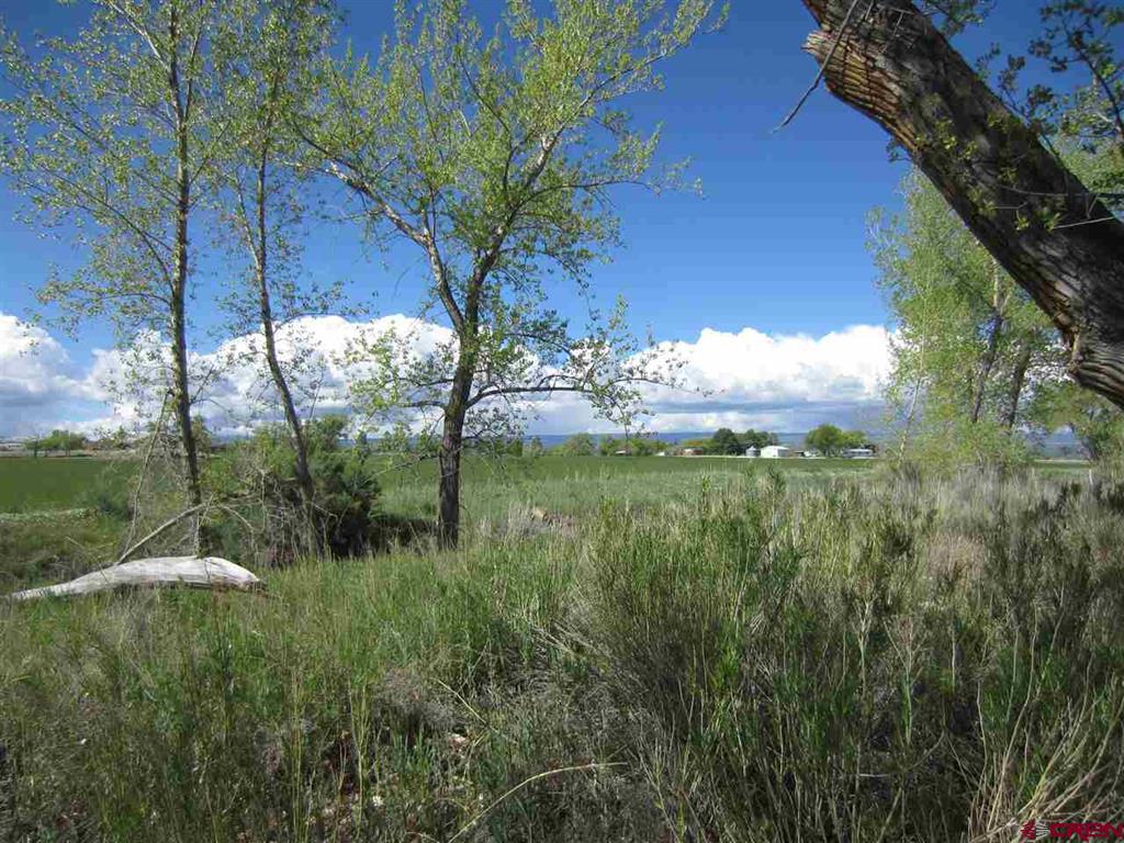 16666 6725 Montrose CO 81401
