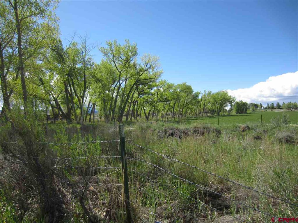 16666 6725 Montrose CO 81401