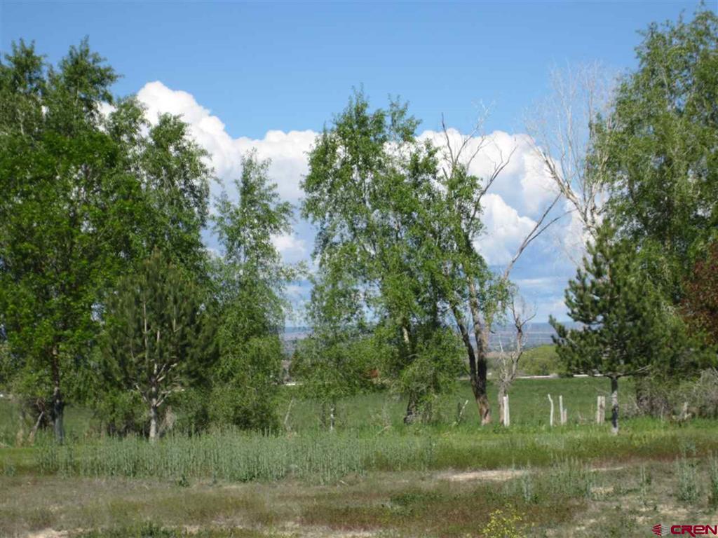 16666 6725 Montrose CO 81401
