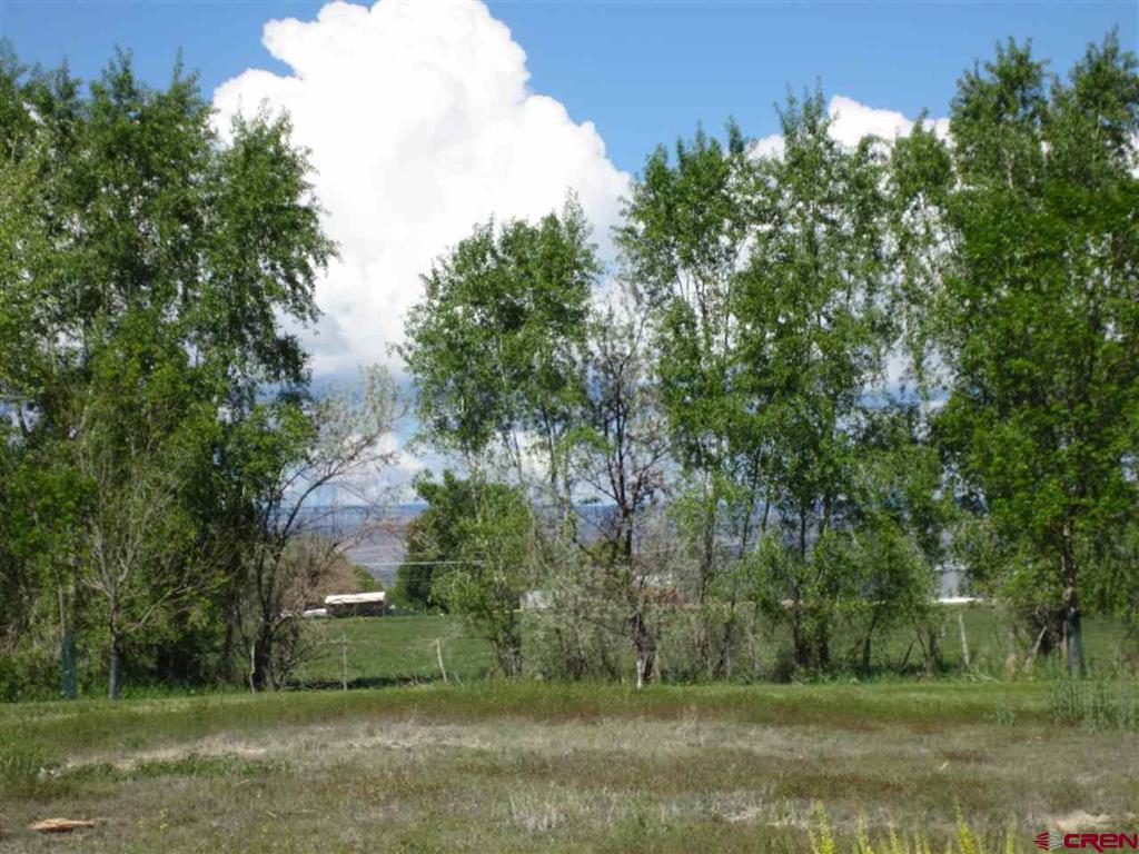 16666 6725 Montrose CO 81401