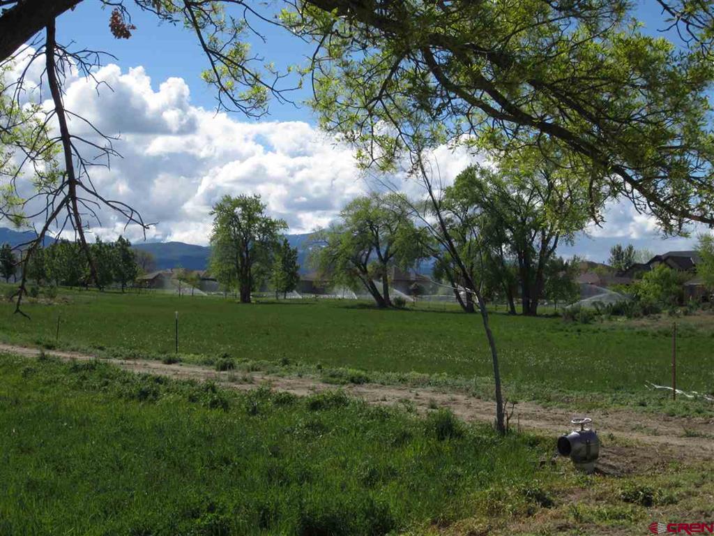 16666 6725 Montrose CO 81401
