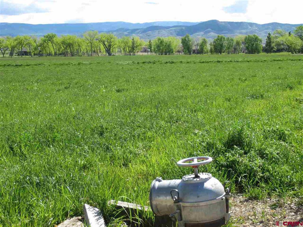 16666 6725 Montrose CO 81401