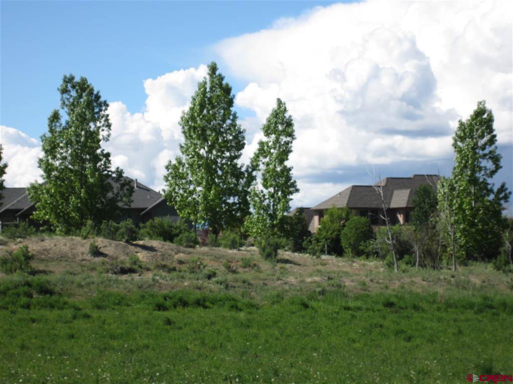 16666 6725 Montrose CO 81401