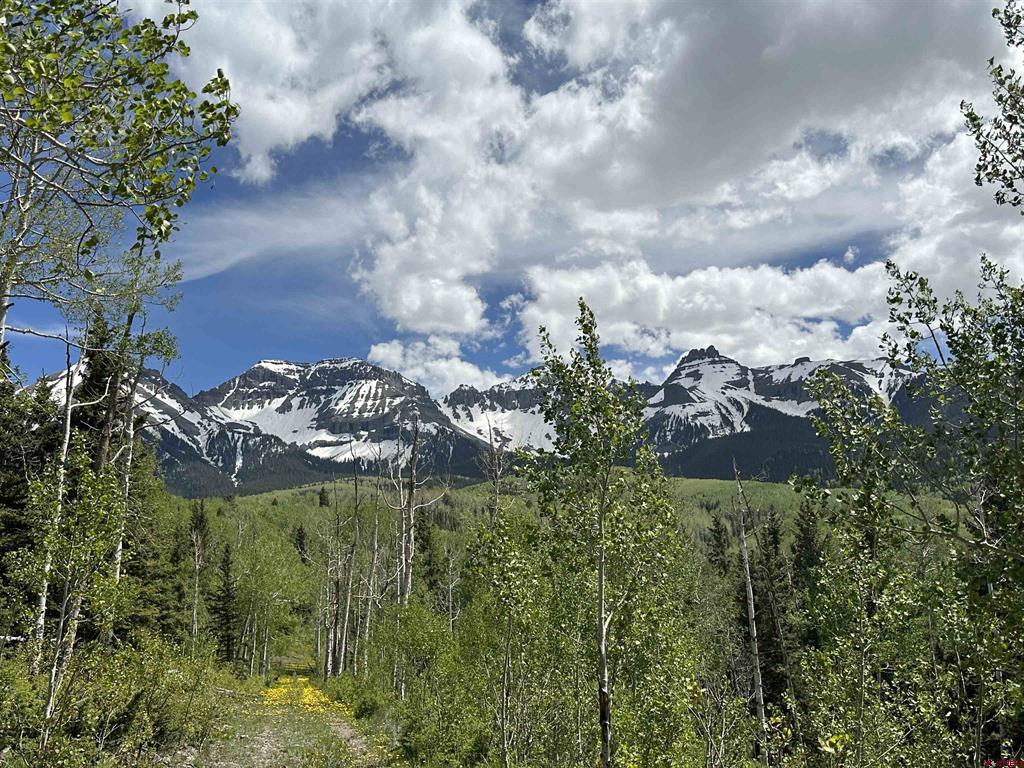 Tbd Tract 13 County Road 5 Ridgway CO 81432