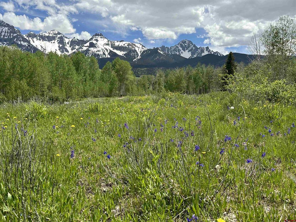 Tbd Tract 13 County Road 5 Ridgway CO 81432