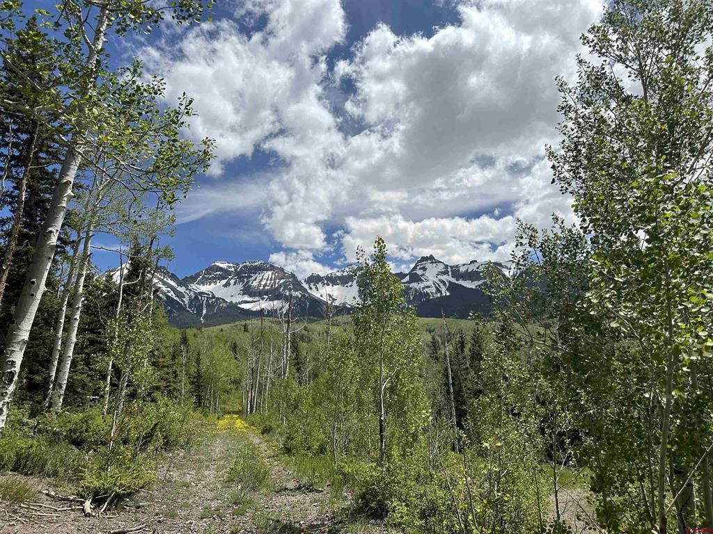 Tbd Tract 13 County Road 5 Ridgway CO 81432