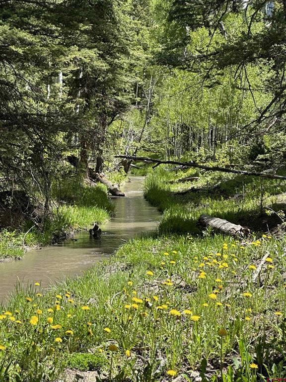 Tbd Tract 13 County Road 5 Ridgway CO 81432