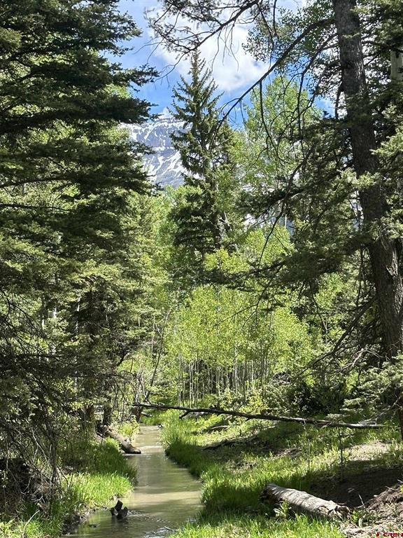 Tbd Tract 13 County Road 5 Ridgway CO 81432