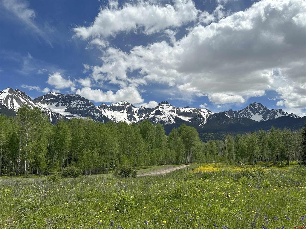 Tbd Tract 13 County Road 5 Ridgway CO 81432