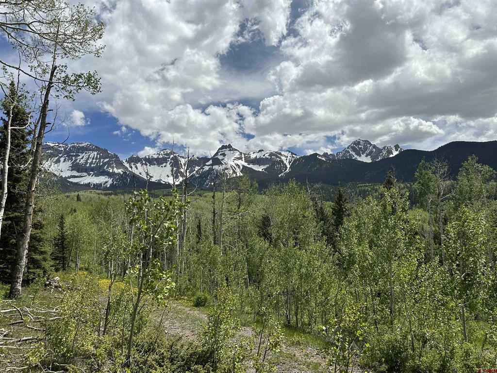 Tbd Tract 13 County Road 5 Ridgway CO 81432