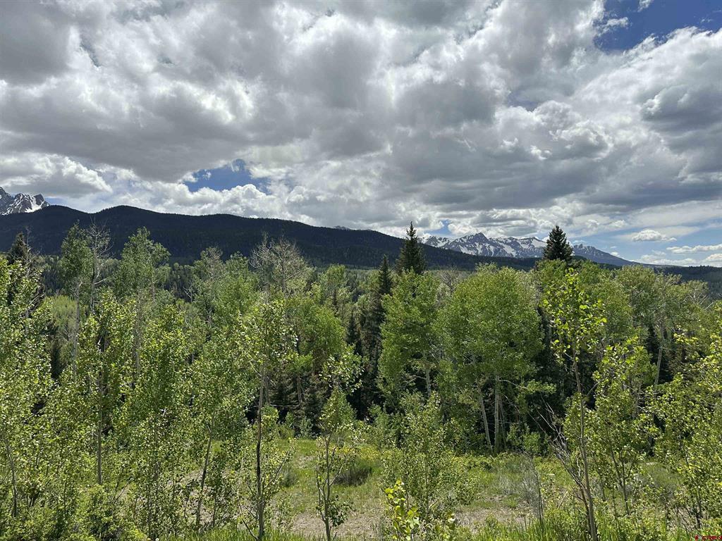 Tbd Tract 13 County Road 5 Ridgway CO 81432