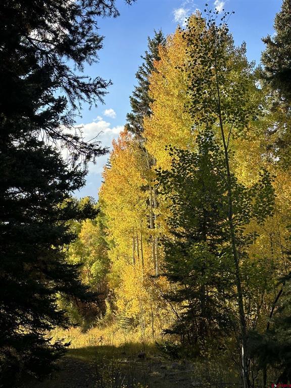 Tbd Tract 13 County Road 5 Ridgway CO 81432