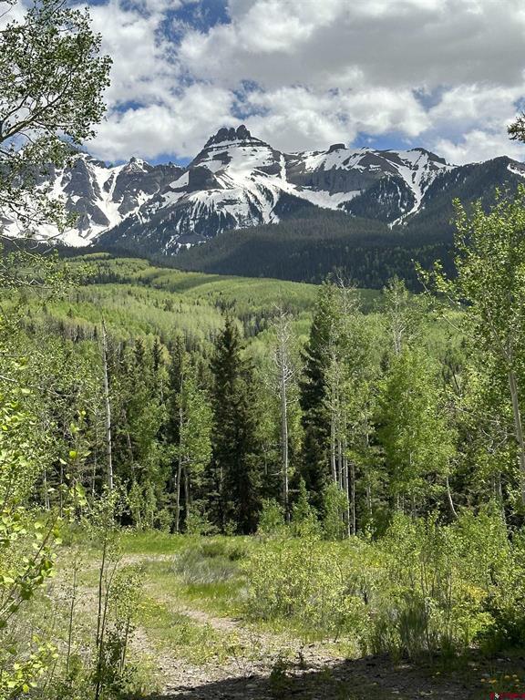 Tbd Tract 13 County Road 5 Ridgway CO 81432