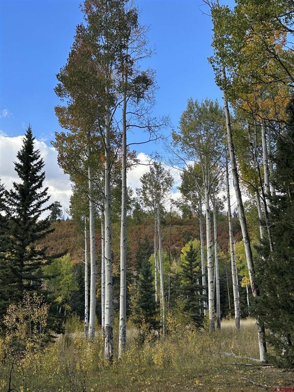 Tbd Tract 13 County Road 5 Ridgway CO 81432