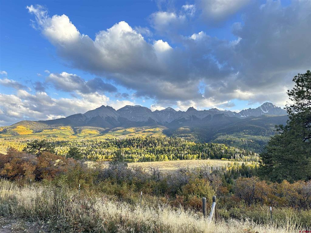 Tbd Tract 13 County Road 5 Ridgway CO 81432