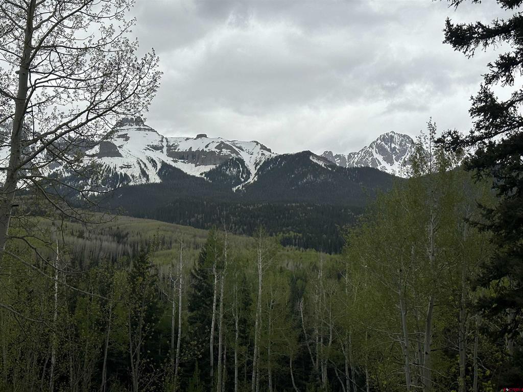 Tbd Tract 13 County Road 5 Ridgway CO 81432