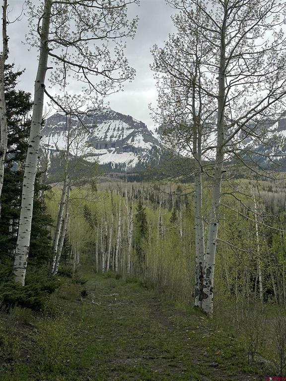 Tbd Tract 13 County Road 5 Ridgway CO 81432