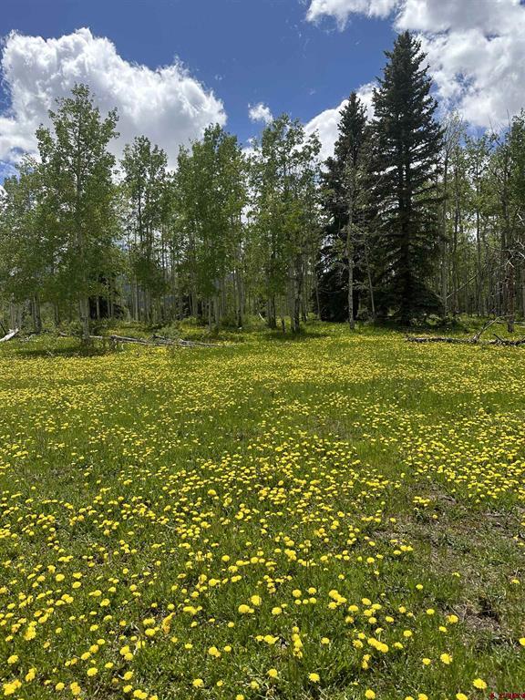 Tbd Tract 13 County Road 5 Ridgway CO 81432
