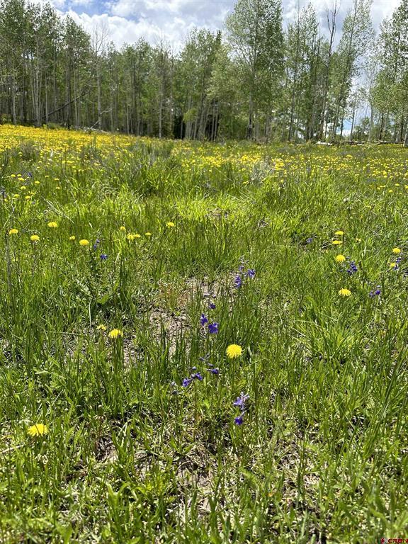 Tbd Tract 13 County Road 5 Ridgway CO 81432