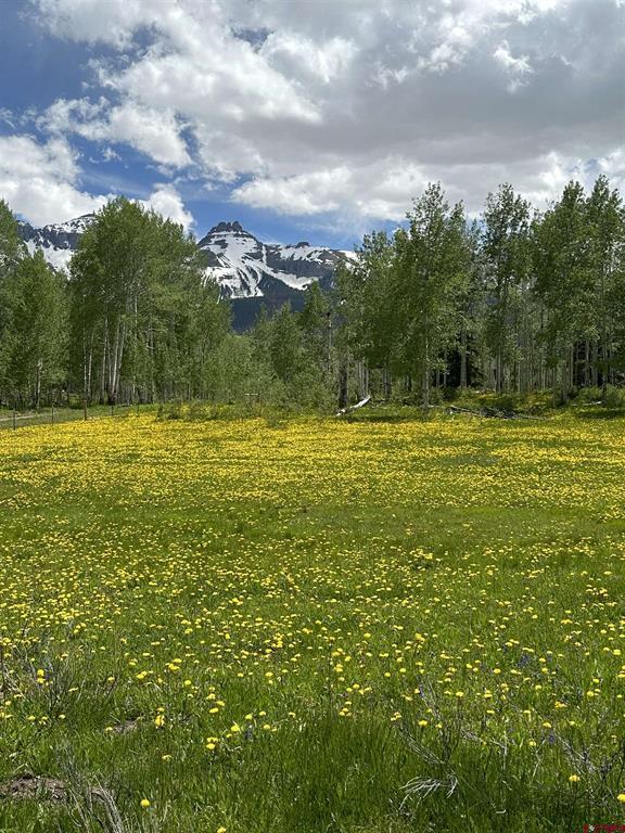 Tbd Tract 13 County Road 5 Ridgway CO 81432