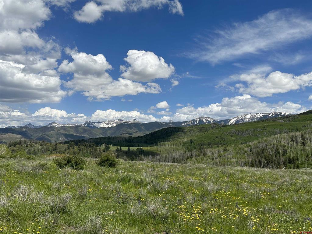 Tbd Tract 13 County Road 5 Ridgway CO 81432