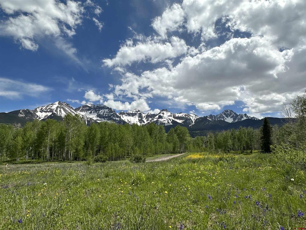 Tbd Tract 13 County Road 5 Ridgway CO 81432