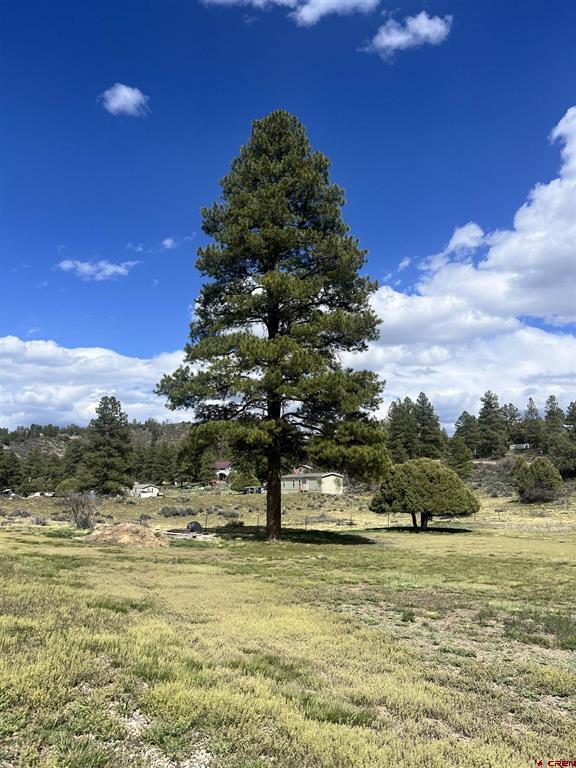 828 Beucler Lane Pagosa Springs CO 81147