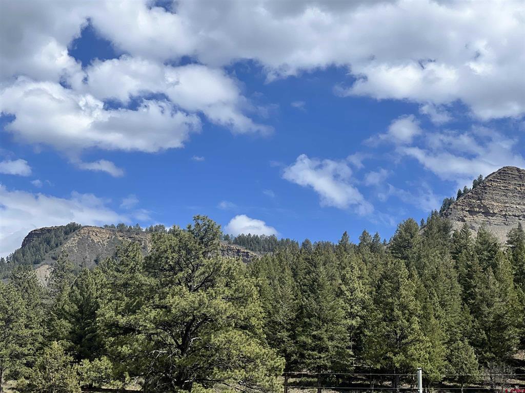 828 Beucler Lane Pagosa Springs CO 81147