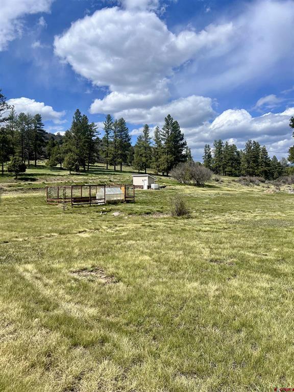 828 Beucler Lane Pagosa Springs CO 81147