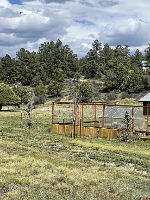 828 Beucler Lane Pagosa Springs CO 81147