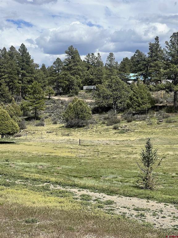 828 Beucler Lane Pagosa Springs CO 81147