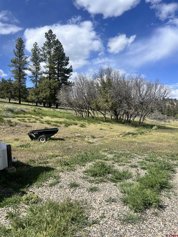 828 Beucler Lane Pagosa Springs CO 81147