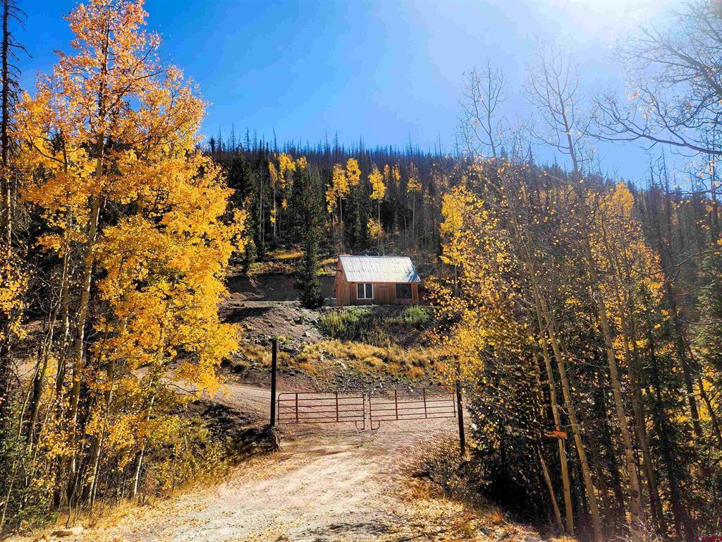 2540 Usfs Road 503 Creede CO 81130