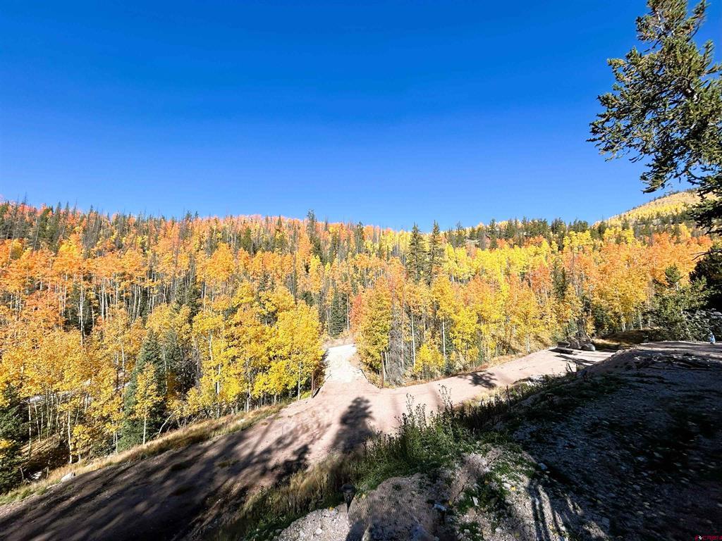 2540 Usfs Road 503 Creede CO 81130