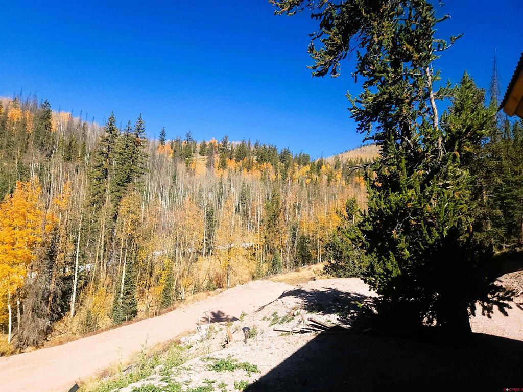 2540 Usfs Road 503 Creede CO 81130