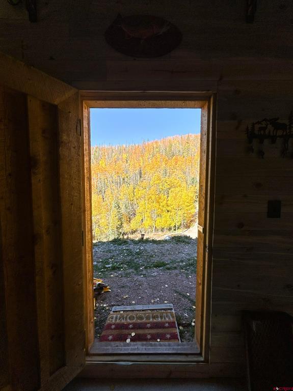 2540 Usfs Road 503 Creede CO 81130