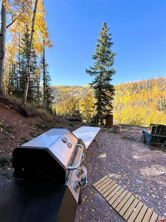 2540 Usfs Road 503 Creede CO 81130