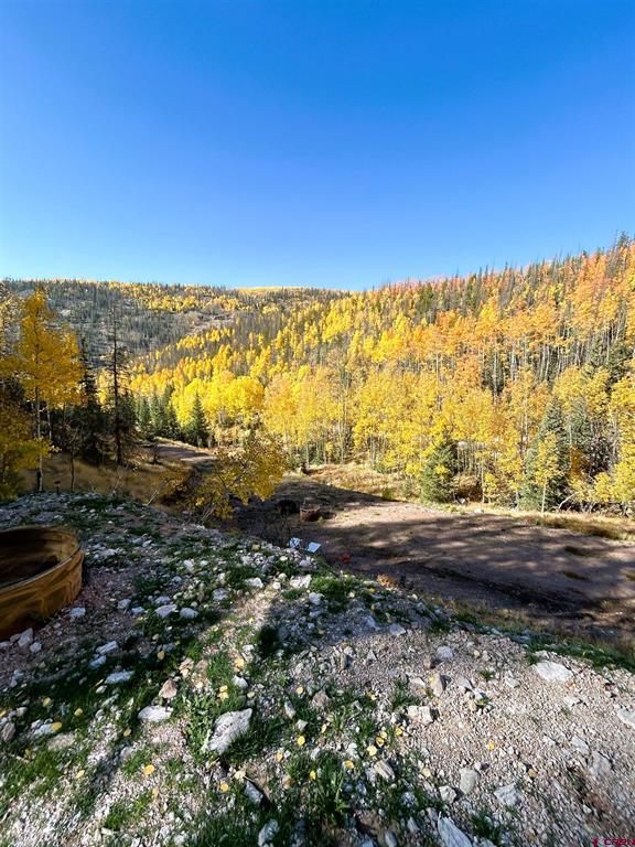 2540 Usfs Road 503 Creede CO 81130