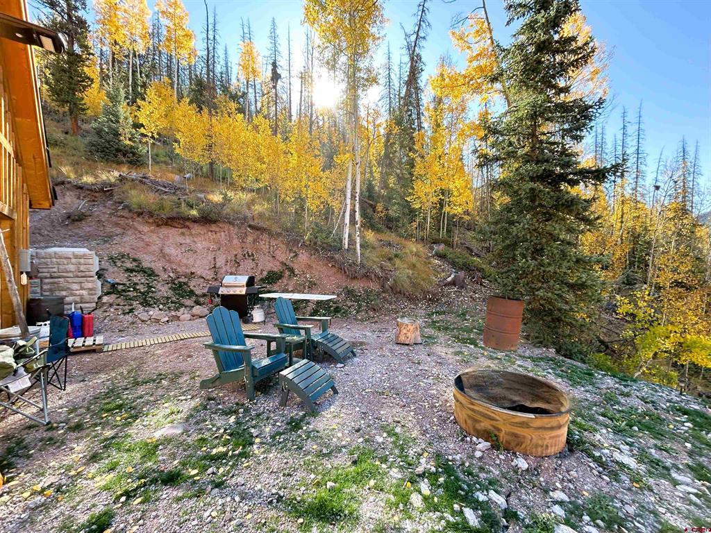 2540 Usfs Road 503 Creede CO 81130