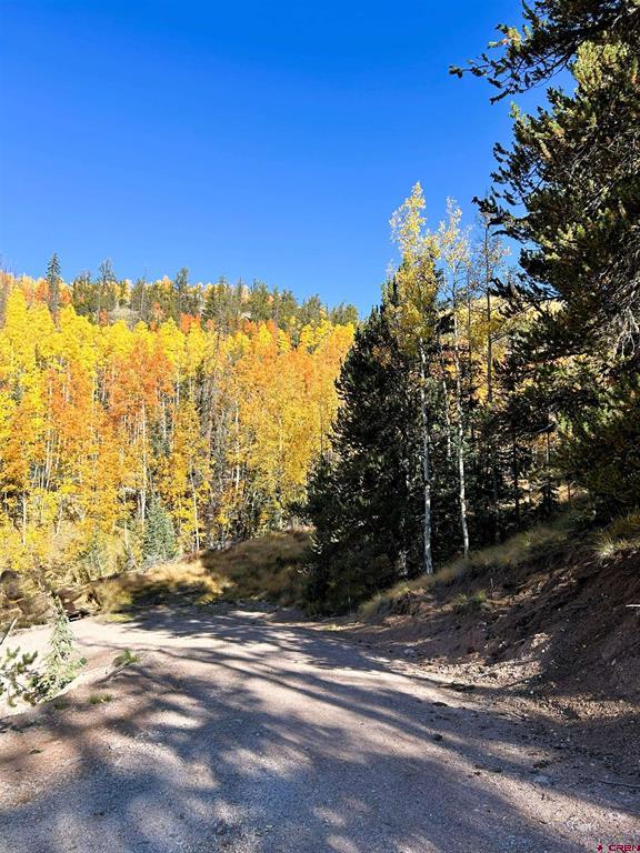 2540 Usfs Road 503 Creede CO 81130