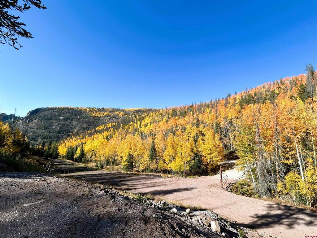 2540 Usfs Road 503 Creede CO 81130