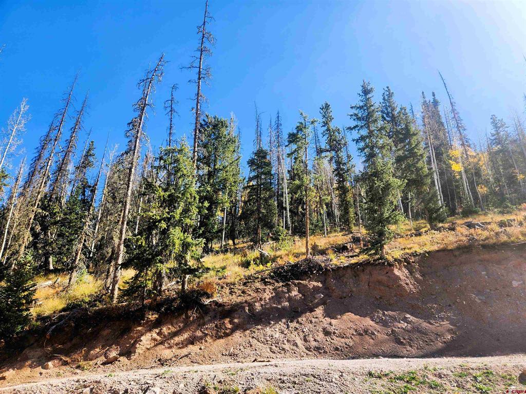 2540 Usfs Road 503 Creede CO 81130