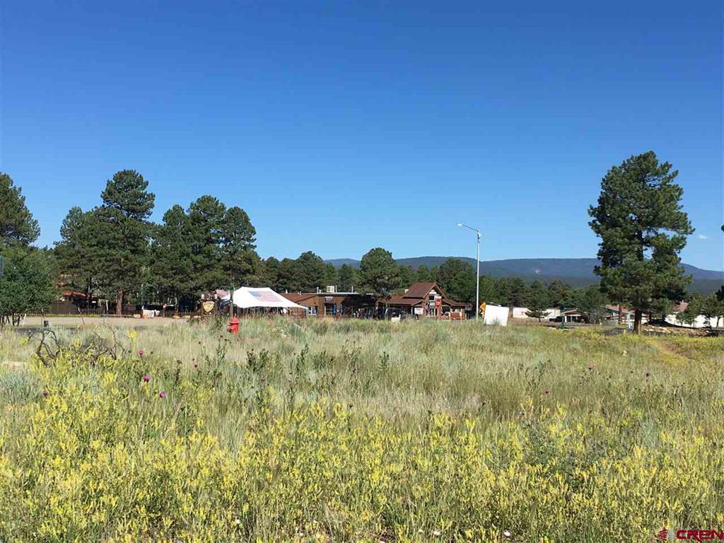 63 N Pagosa Boulevard Pagosa Springs CO 81147