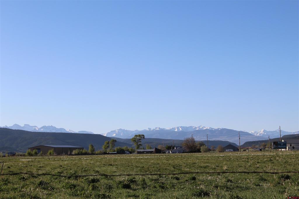 Lot: 1 Highway 550 Montrose CO 81403