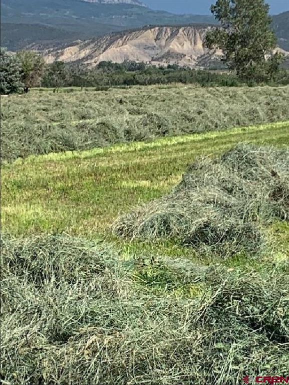 Lot: 1 Highway 550 Montrose CO 81403